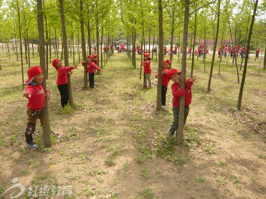 紅纓幼兒園春游活動(dòng)