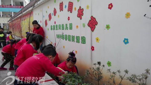 四川北川紅纓藍天幼兒園開展春植樹活動