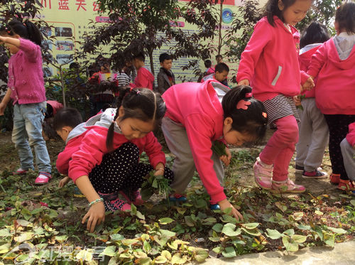 四川北川紅纓藍天幼兒園