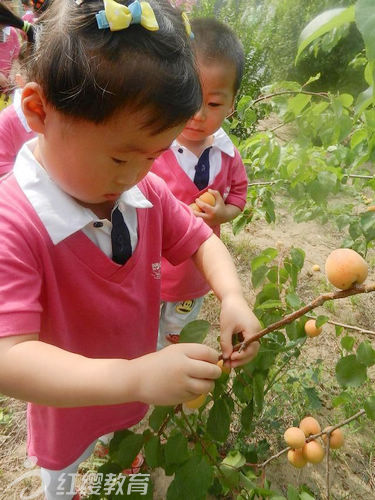 山東濰坊北京紅纓連鎖朝霞幼兒園